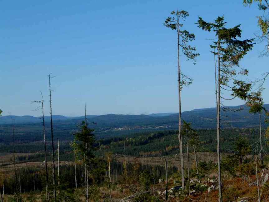 Utsikt mot Lillterrsjö