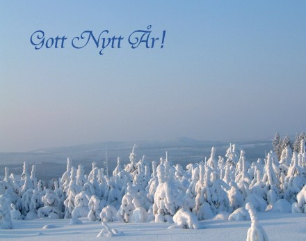 Gott Nytt År!