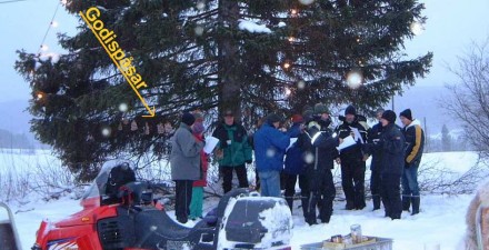 Godispåsar i granen